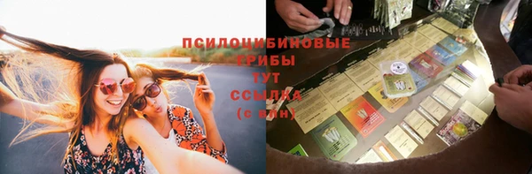 твердый Алексеевка